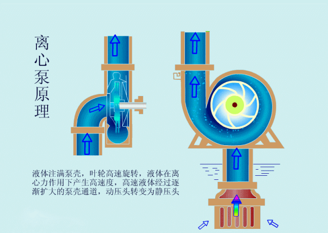 科普之離心泵啟動(dòng)時(shí)，出口閥門必須關(guān)閉嗎？(圖2)